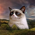 Avatar du membre