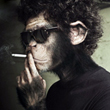 Avatar du membre