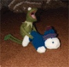 Avatar du membre